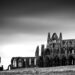 Whitby Abbey black and white