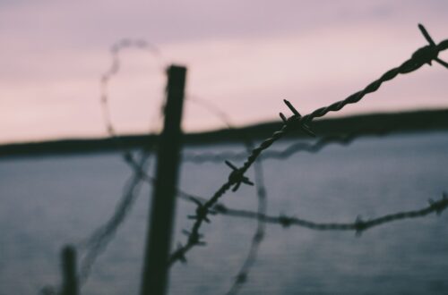 barbwire fence coming undone